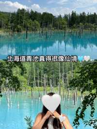身處在仙境般的北海道青池🤍🩵