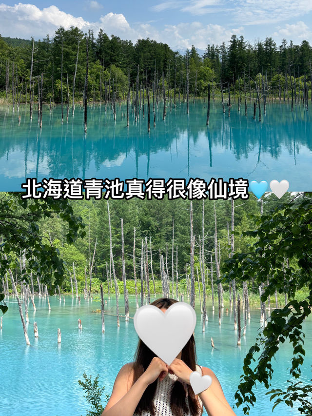 身處在仙境般的北海道青池🤍🩵