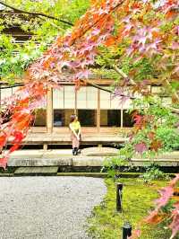 【京都/紅葉スポット】お部屋の中から見る中庭と枯山水が見事なお寺🍂🌾