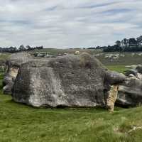 Fascinating Elephant Rocks in NZ