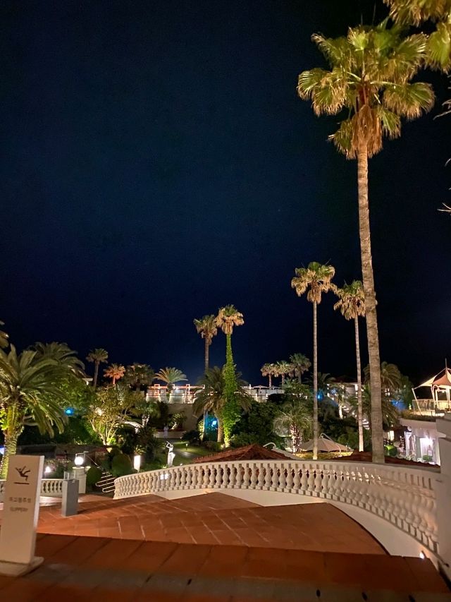 탁트인 바다가 있어 멋있는 제주신라호텔🌴♥️