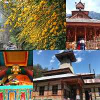 Incredible India คนเดียว เที่ยว 21 วัน