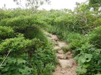 【青森/岩木山】ロープウェイでお手軽登山！