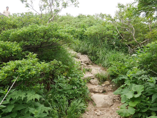 【青森/岩木山】ロープウェイでお手軽登山！