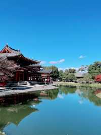 【京都宇治】極楽浄土を再現した美しさ✨世界遺産を堪能しよう
