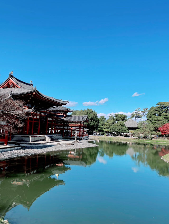 【京都宇治】極楽浄土を再現した美しさ✨世界遺産を堪能しよう