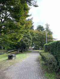 【佐久市】まるで日本庭園！？無料で楽しむ中嶋公園🌳