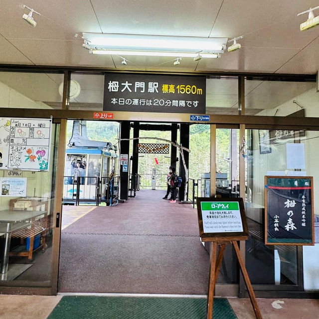 日本白馬栂池高原纜車