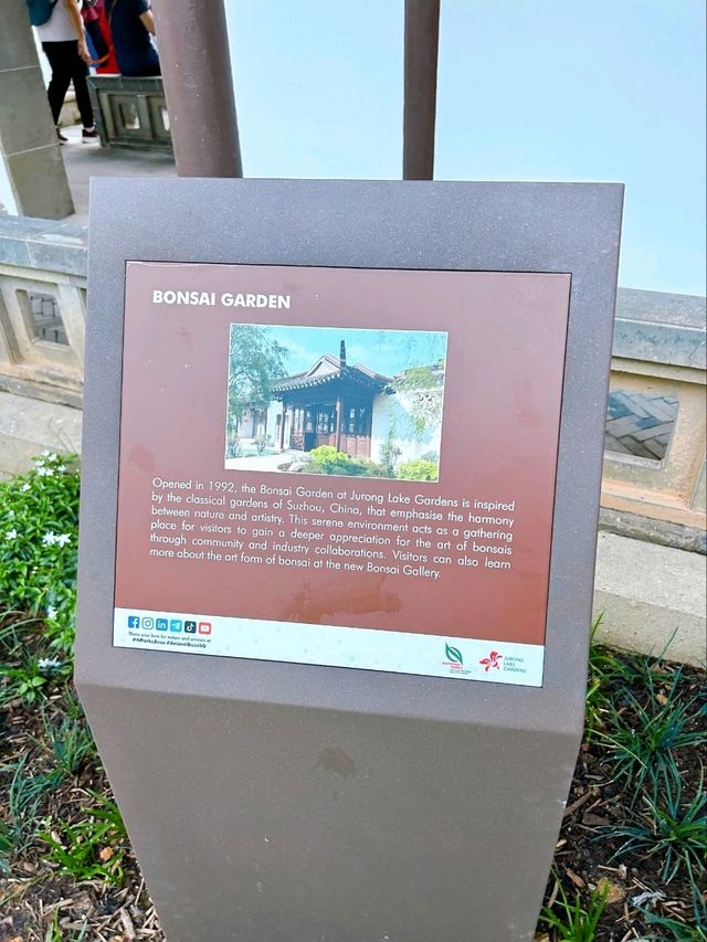 Exploring the Bonsai Garden in Singapore