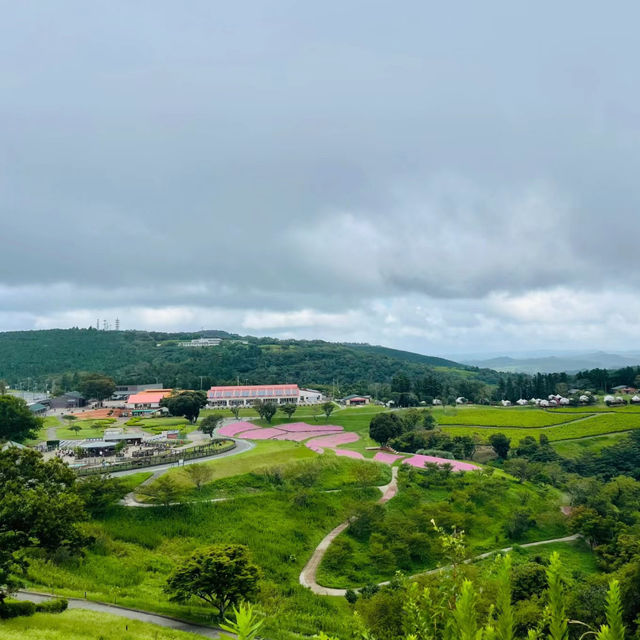 🌾伊香保綠色牧場🌾山上草原中與牛共舞🐄🌾