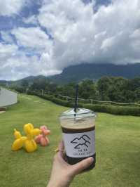 Tata Chiang Dao Cafe  คาเฟ่วิวดอยหลวงเชียงดาว☘️