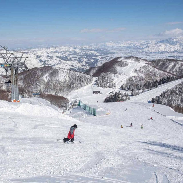 東京一程車就到｜適合一家大小的滑雪場⛷️❄️ 