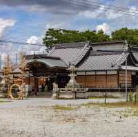 🐲開口神社🌲美麗平靜⛩️✨