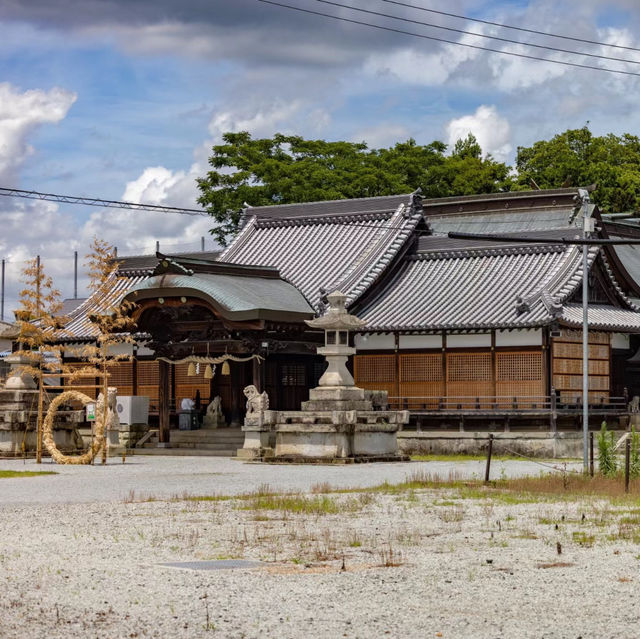 🐲開口神社🌲美麗平靜⛩️✨