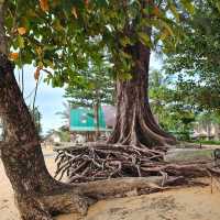 หาดนางทอง  พังงา