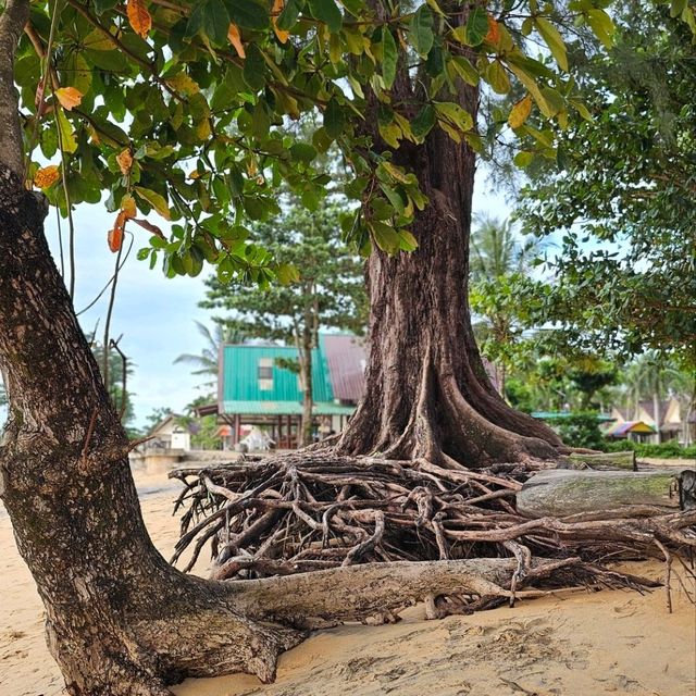 หาดนางทอง  พังงา