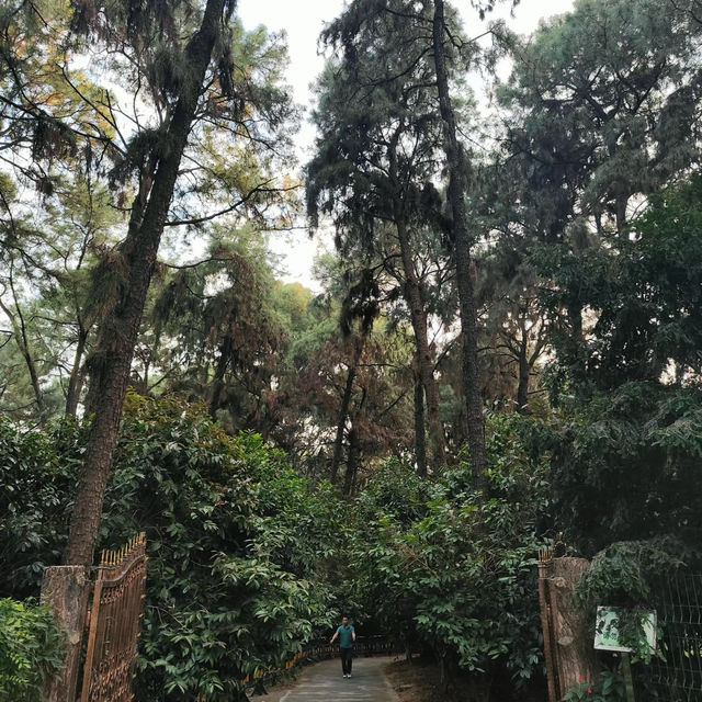 新坑水庫：風光明媚🌅🏞️
