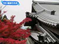 日本三景-宮島的漫山楓紅與海上鳥居