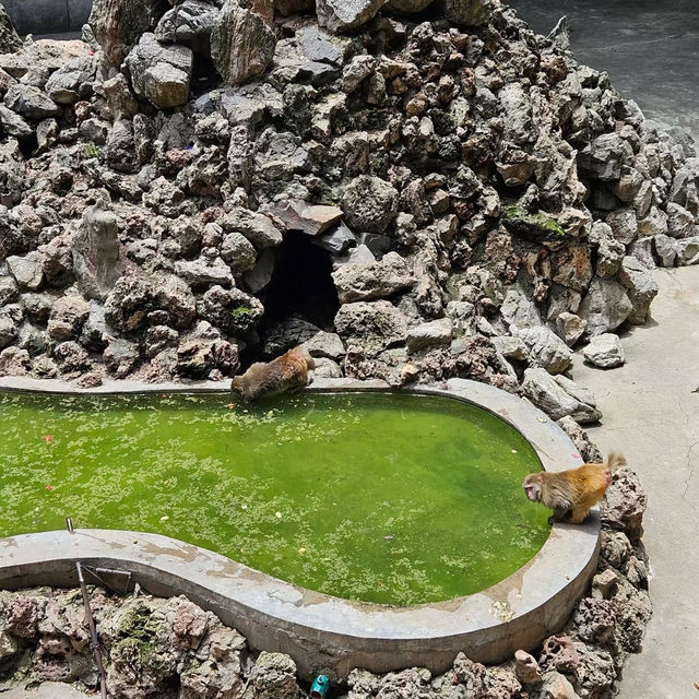 廣州動物園：親近動物🦁