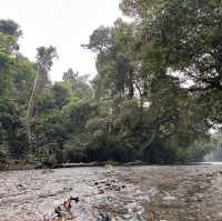 My Taman Negara Adventure!