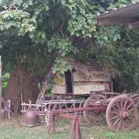 Thai Buffalo Village สุพรรณบุรี