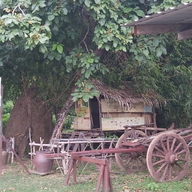 Thai Buffalo Village สุพรรณบุรี