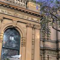 【Sydney Town Hall 悉尼市政廳】系遊客必到打卡點