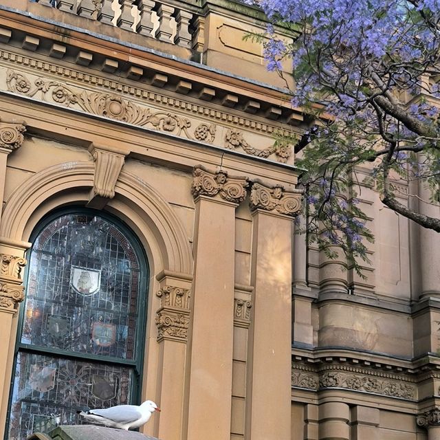 【Sydney Town Hall 悉尼市政廳】系遊客必到打卡點