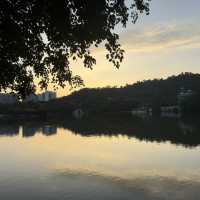 圓明新園