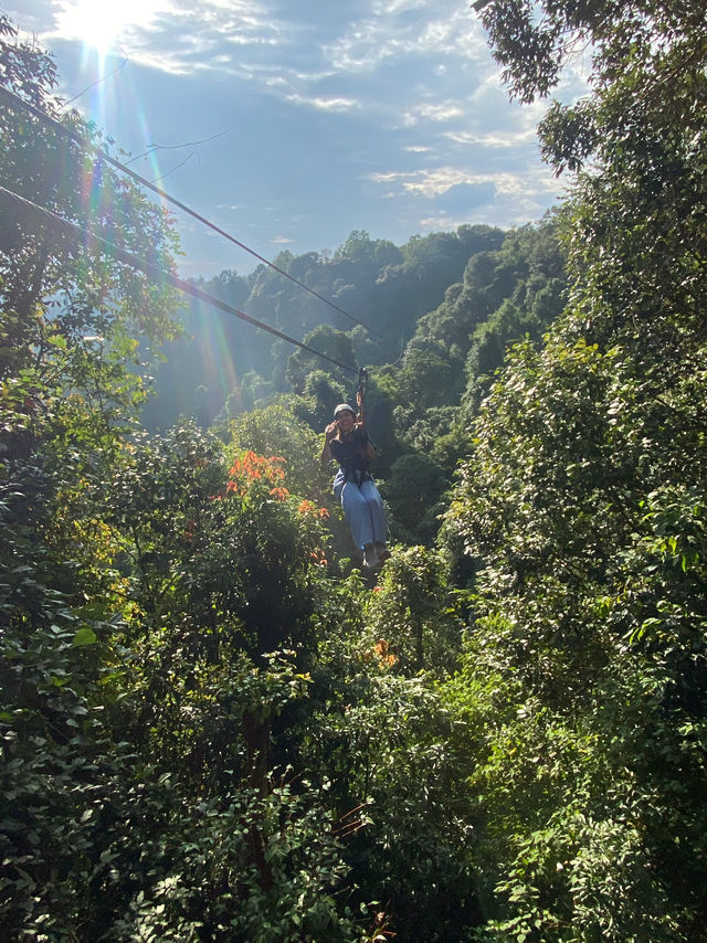 One of the most thrilling and longest zip line in Laos