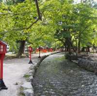 世界文化遺產系列～上賀茂神社
