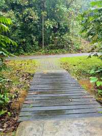 🇸🇬 A Refreshing Escape: Exploring Bukit Batok Nature Park