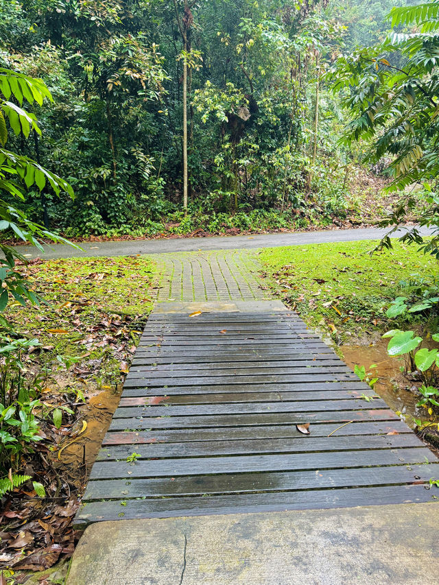 🇸🇬 A Refreshing Escape: Exploring Bukit Batok Nature Park