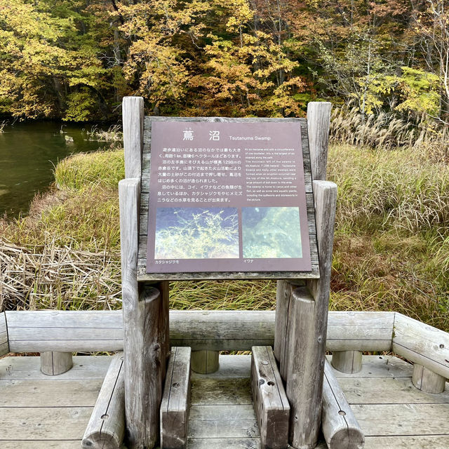 【十和田】必見！感動の紅葉🍁圧倒される絶景✨
