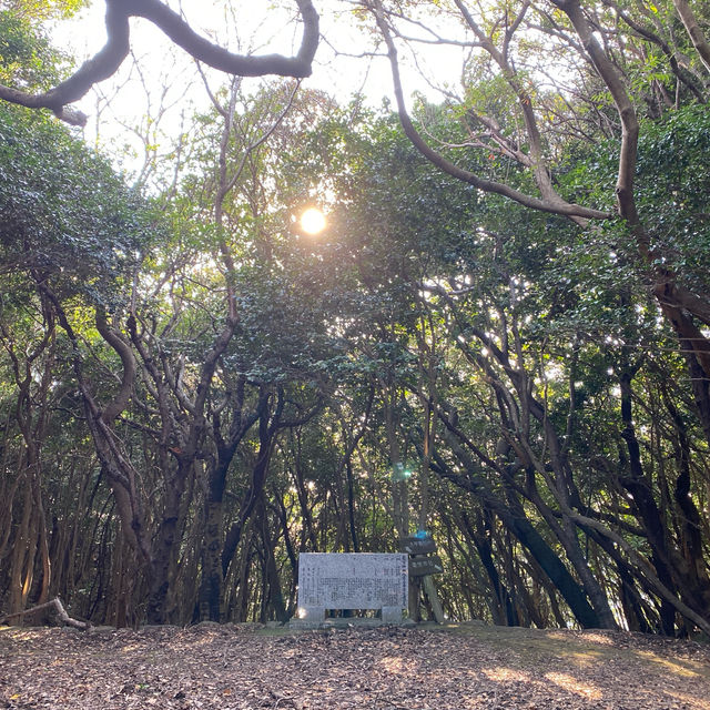 絶景✨竜宮(龍宮)神社⛩️