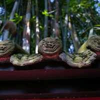 Vibrant Serenity at Wu Hou Shrine in October