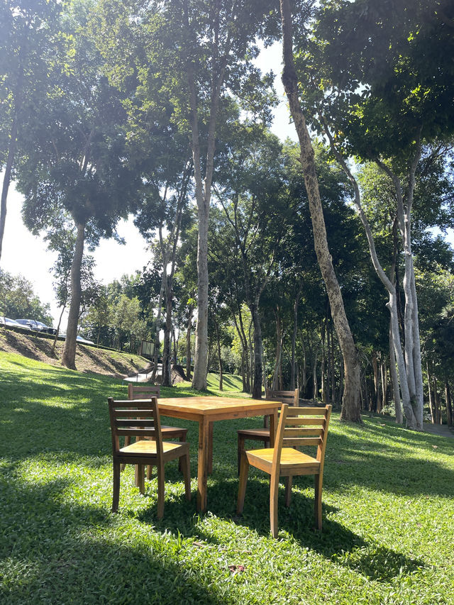 🇹🇭한국인은 잘모르는 한적한 치앙마이근교호수🌿