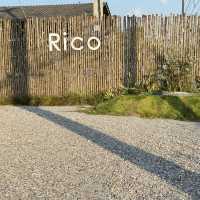 Rico คาเฟ่น่ารักสุดมินิมอลริมถนนสุขุมวิท