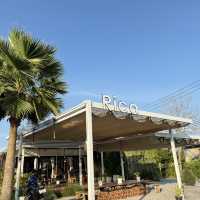 Rico คาเฟ่น่ารักสุดมินิมอลริมถนนสุขุมวิท