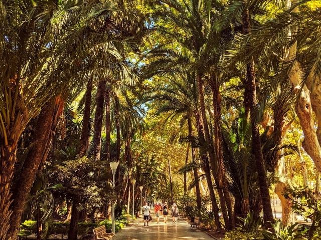 一個位於市中心的熱帶綠洲公園