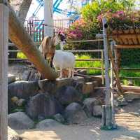 於宇部市常盤動物園探索奇珍異獸