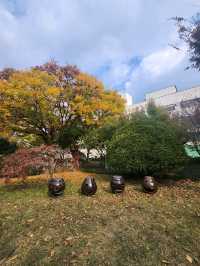 가을의 정취를 느낄수있는 대구 경상감영공원🍂
