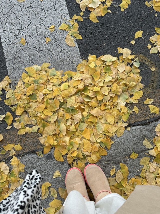 首爾🍂景福宮真的超級好拍