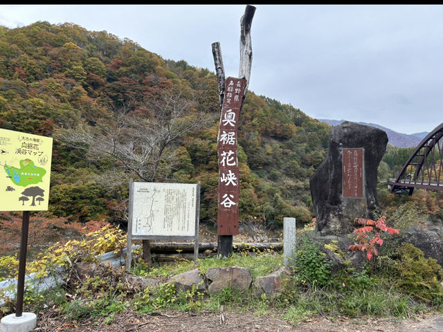 【長野市🇯🇵】長野県名勝指定！絶景が見れる奥裾花渓谷