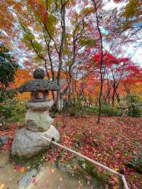 京都嵯峨野の紅葉名所😊🍁小倉山の常寂光寺🍁