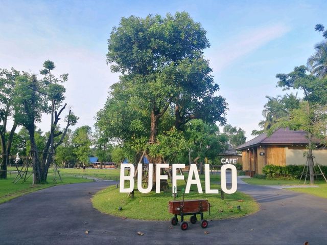 The Buffalo Café คาเฟ่สมุทรสงคราม