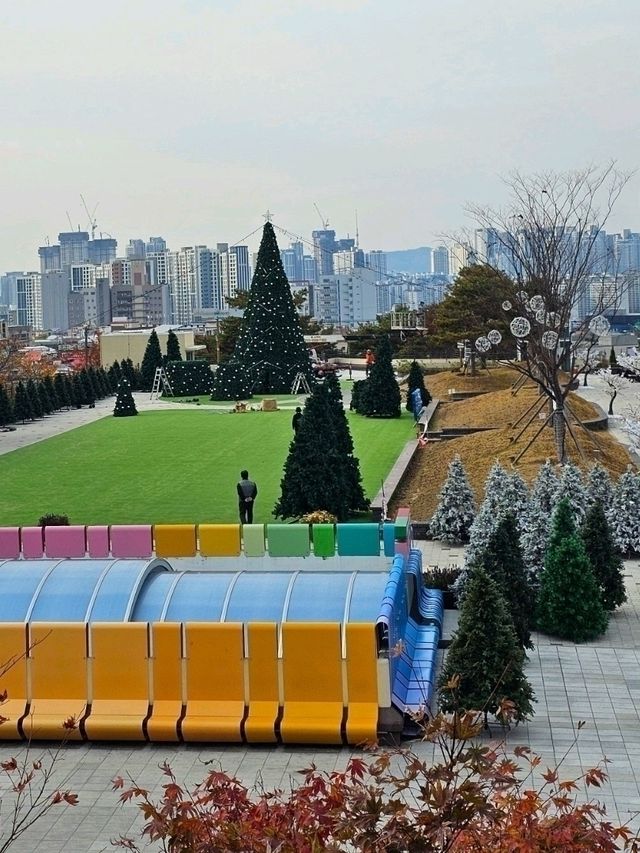 탁 트인, 높은 곳에서 보는 대구 전경 