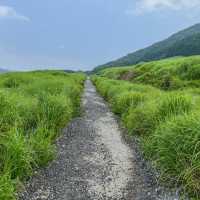 箱根の仙石原