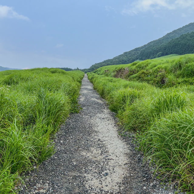箱根の仙石原