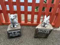 護佑安產結良緣的兔子神明「鵜戶神宮」🐰